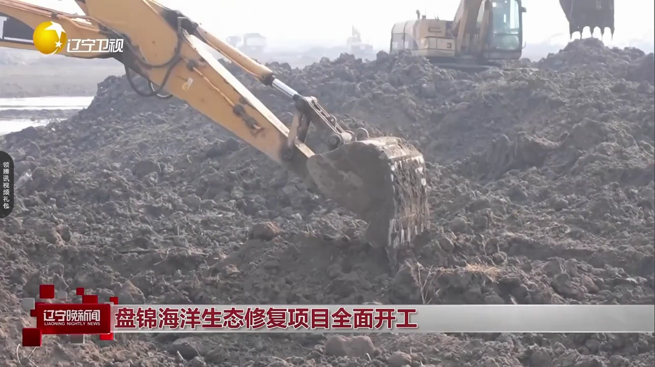 盘锦海洋生态修复项目全面开工