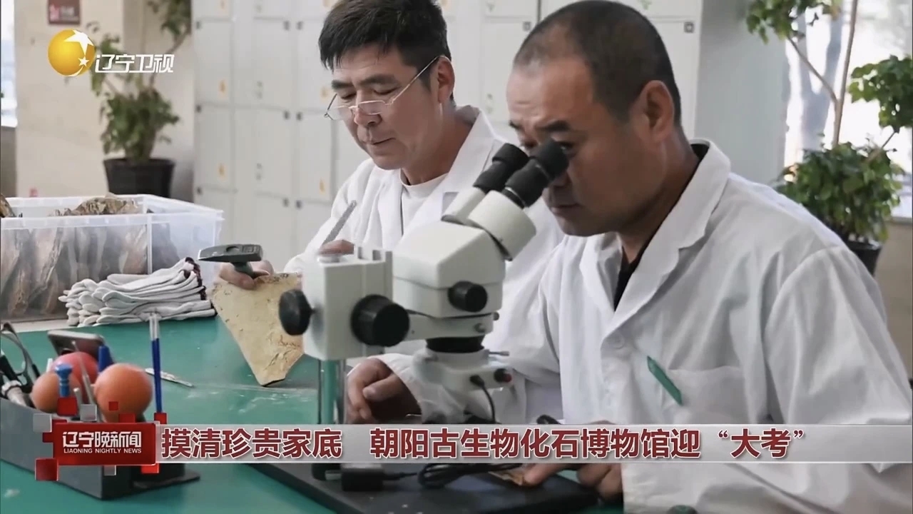 摸清珍贵家底 朝阳古生物化石博物馆迎“大考”