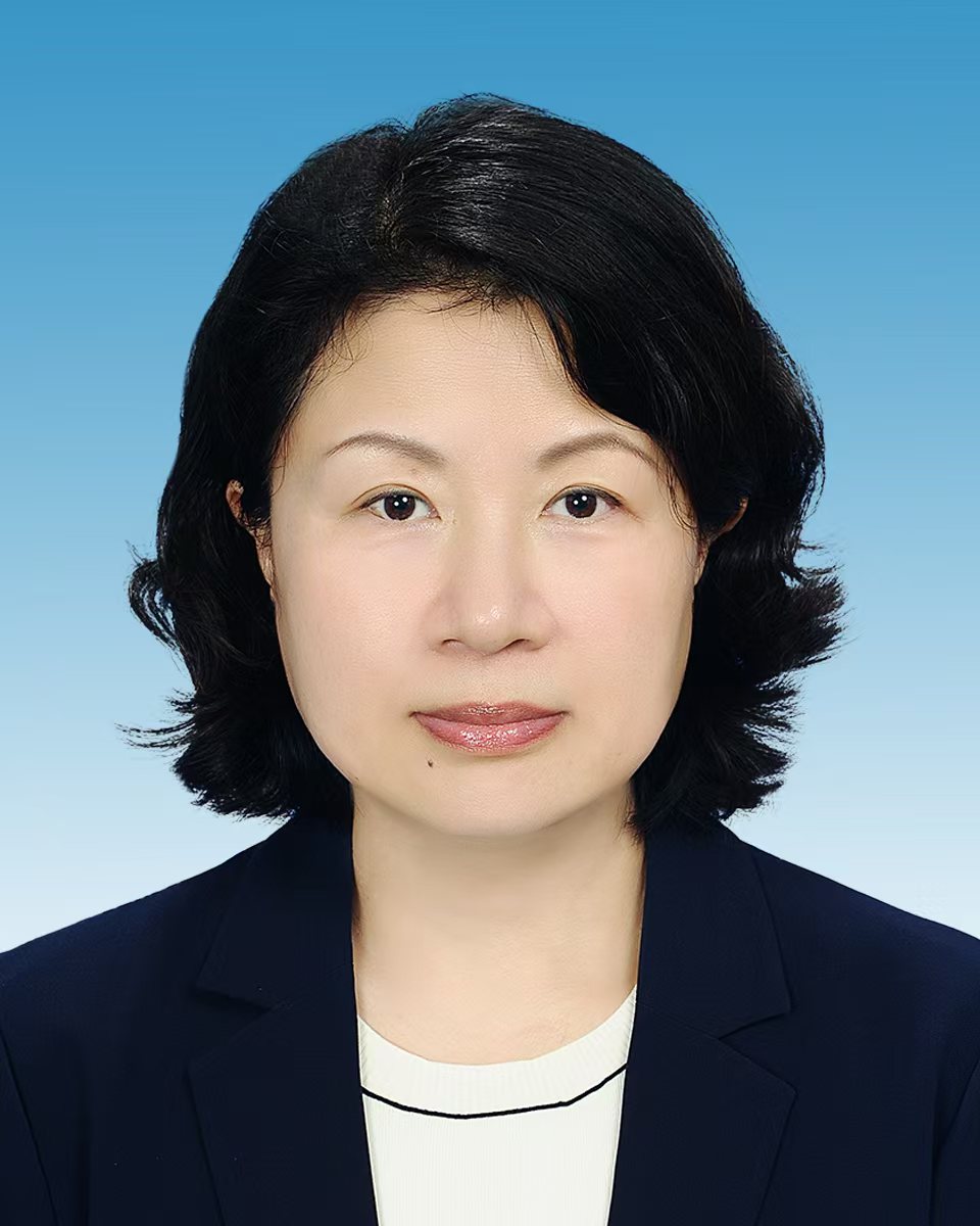 杜卓