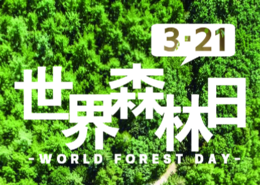 3.21 世界森林日，我在明星林等你