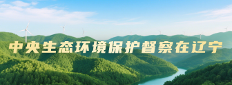 中央生态环境保护督察在辽宁